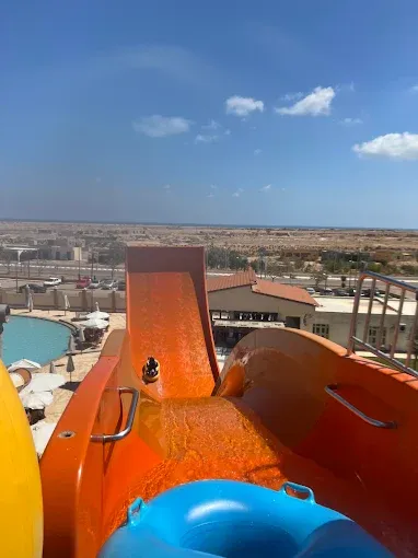 نشاط