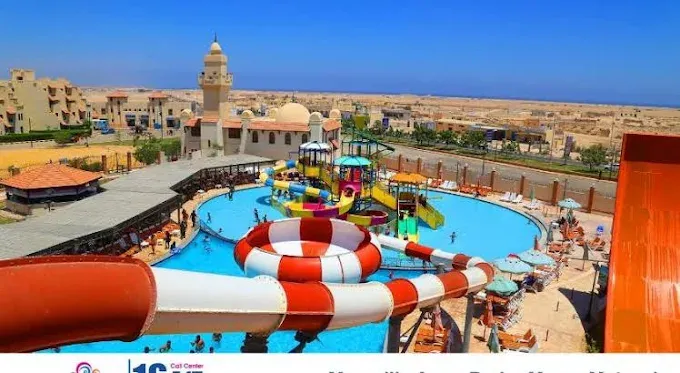 نشاط