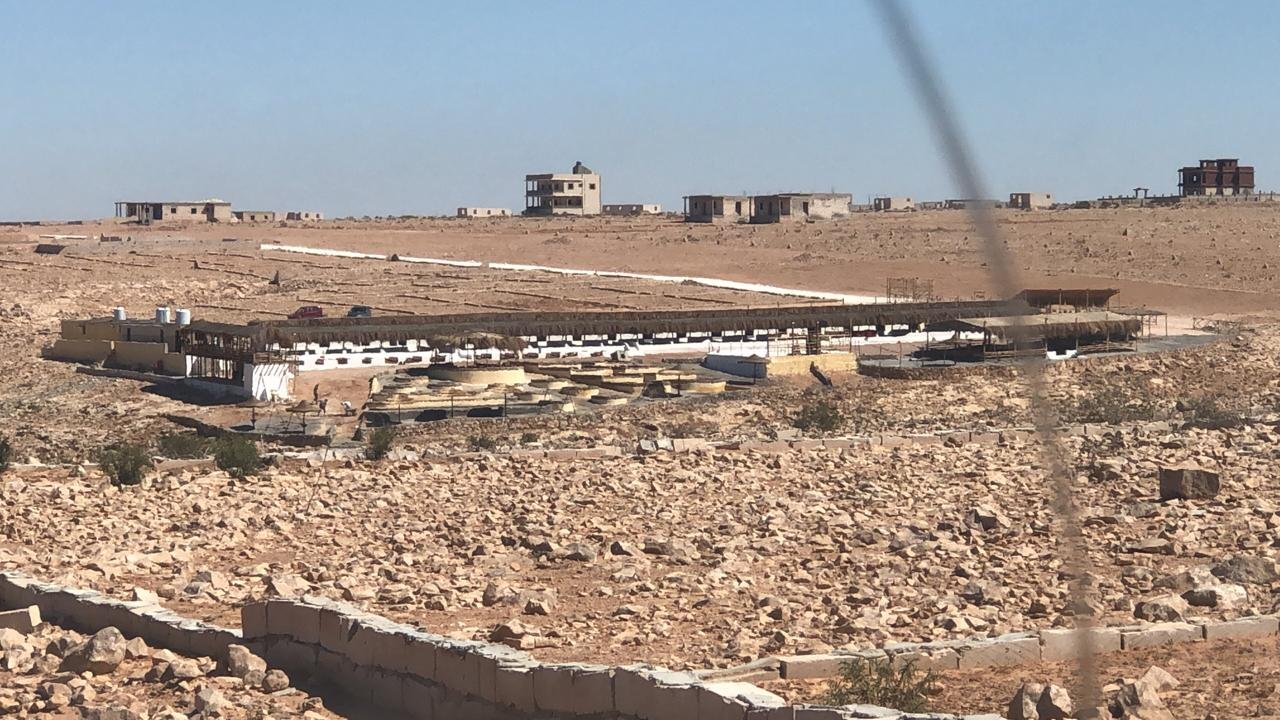 نشاط
