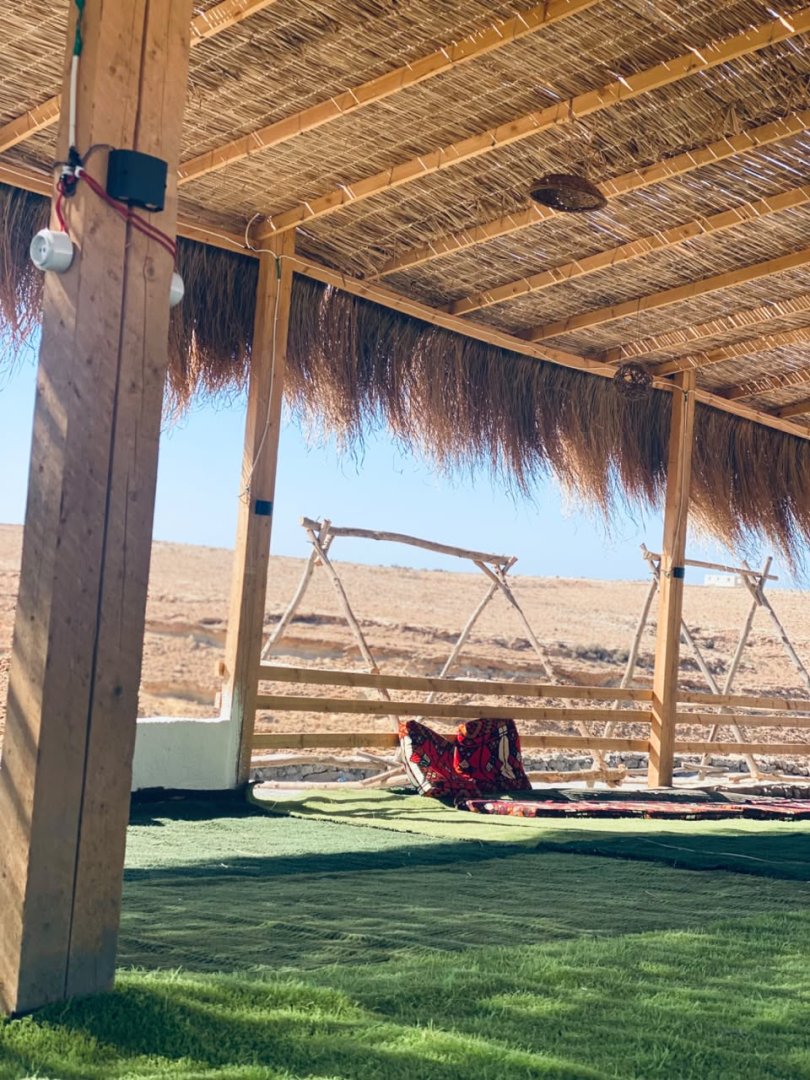 نشاط